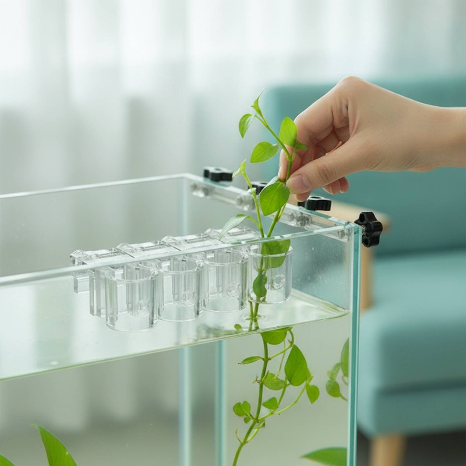 6 Pieces Aquarium Planter Clea - огляд і ціна Aquarium Plants