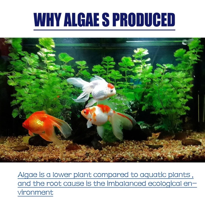 50g High Efficiency Algaecide  - огляд і ціна Aquarium Plant Delivery