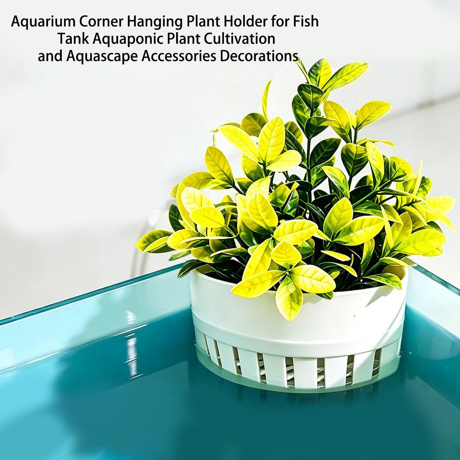 Aquarium Plant Basket Hydropon - огляд і ціна Aquarium Planted Background