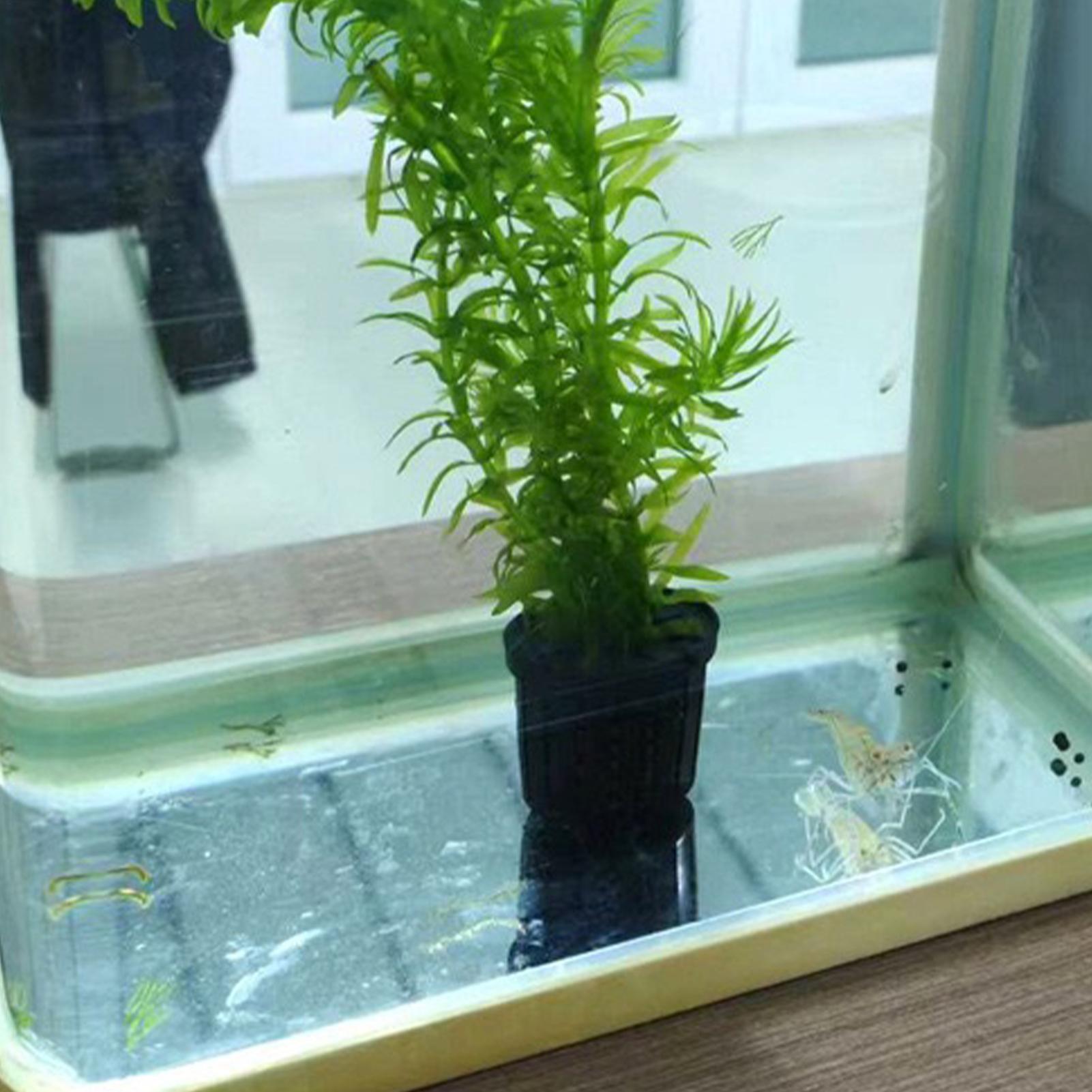 4 Pieces Hydroponic Plant Bask - огляд і ціна Aquarium Planted Background