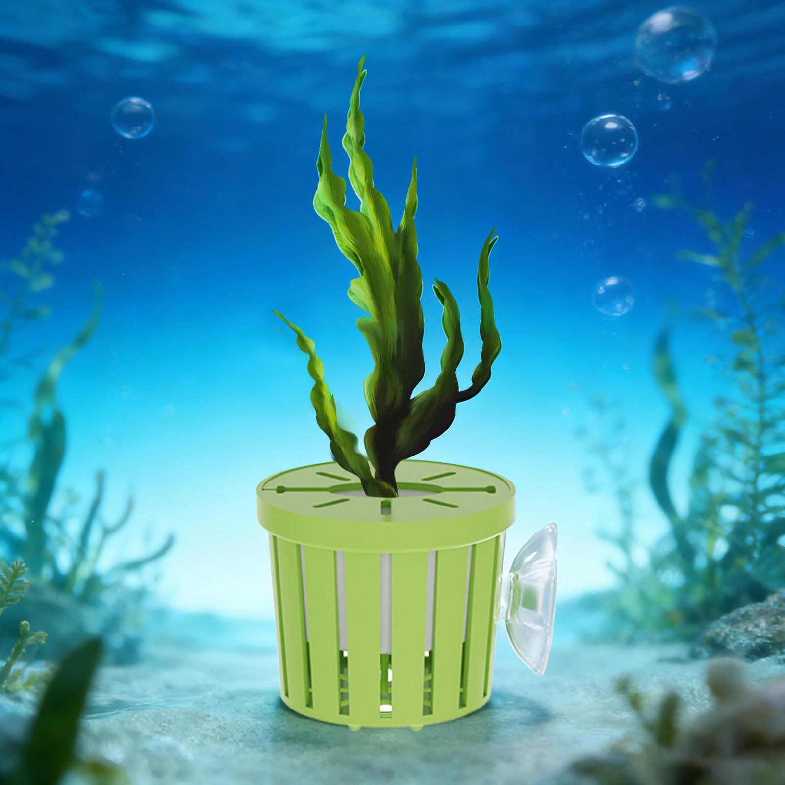4 Pieces Hydroponic Plant Bask - огляд і ціна Aquarium Planted Background