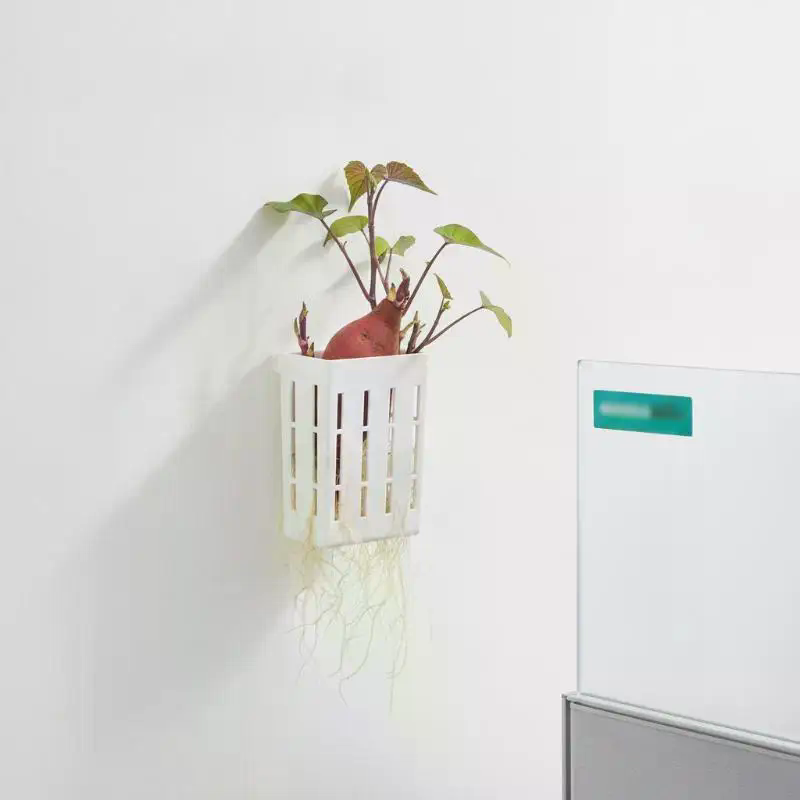 1Pcs Hydroponic Support Basket - огляд і ціна Aquarium Plants