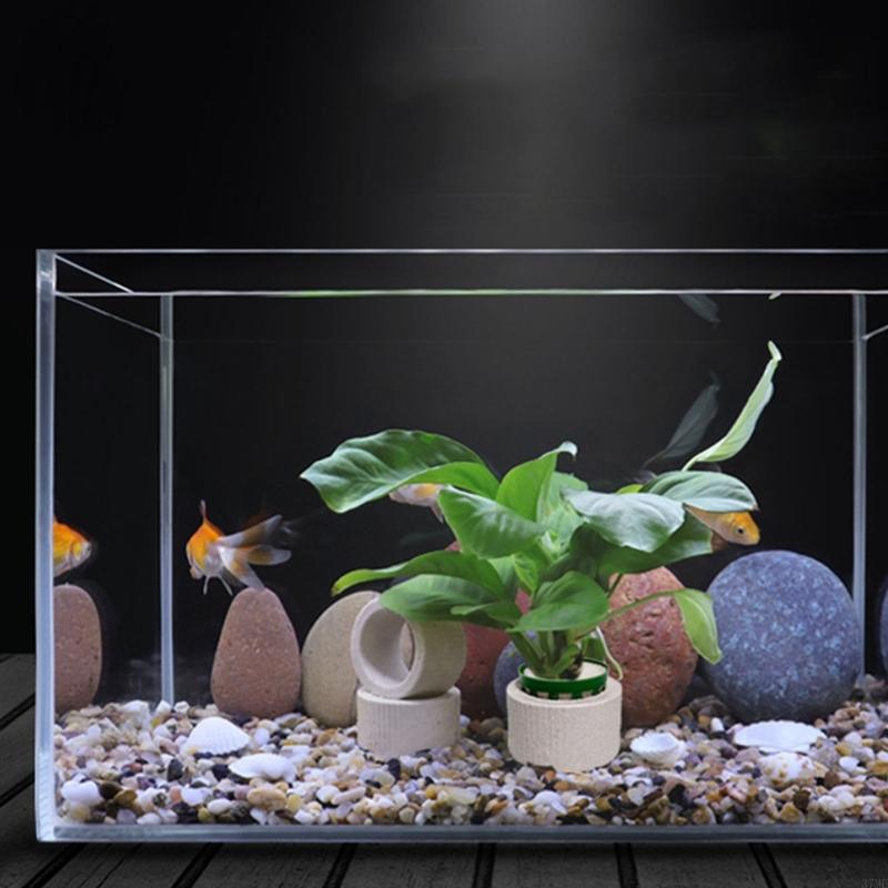 37ME Ceramic Aquarium Plant Ri - огляд і ціна Aquarium Planted Background