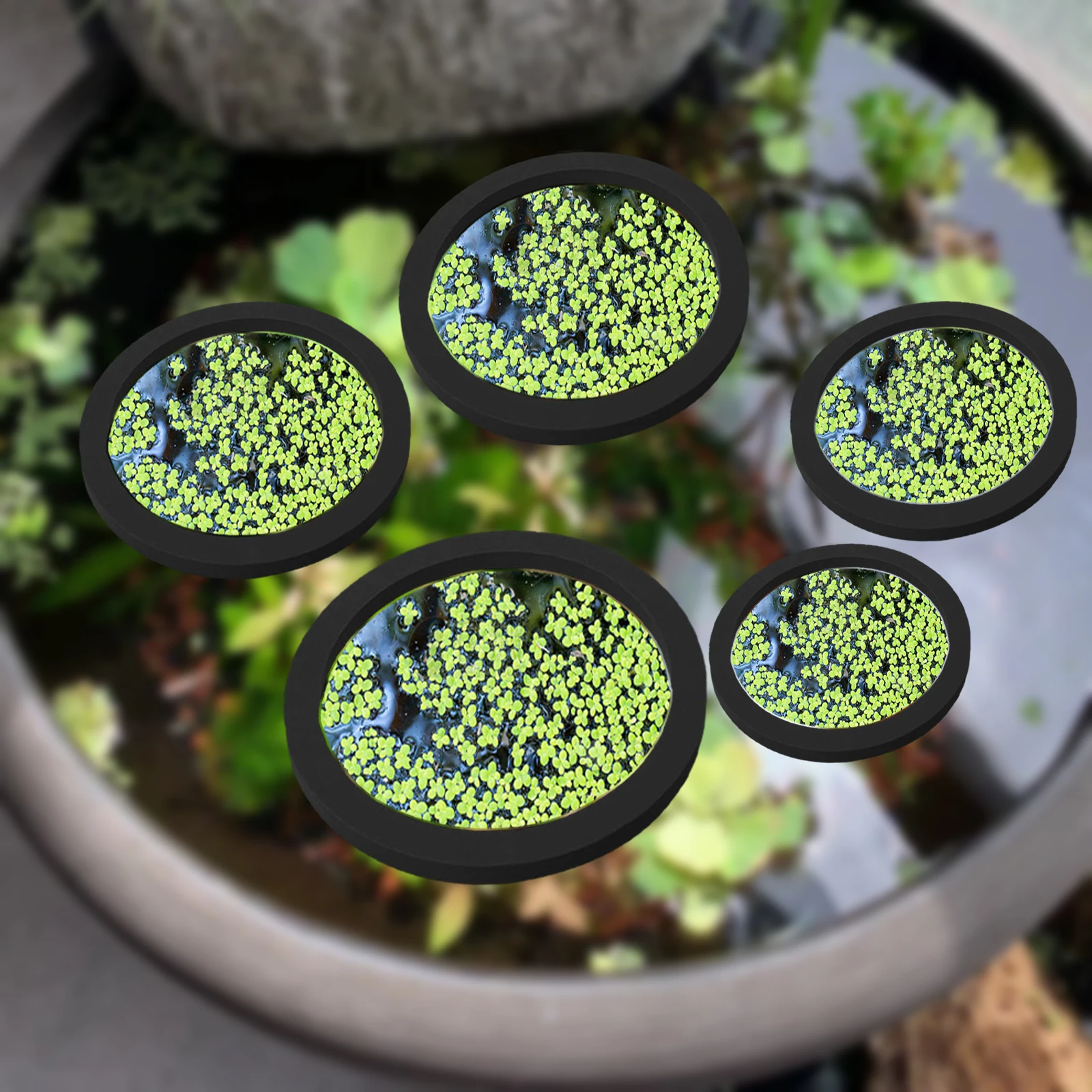 5Pcs EVA Fish Feeding Ring Aqu - огляд і ціна Aquarium Plants