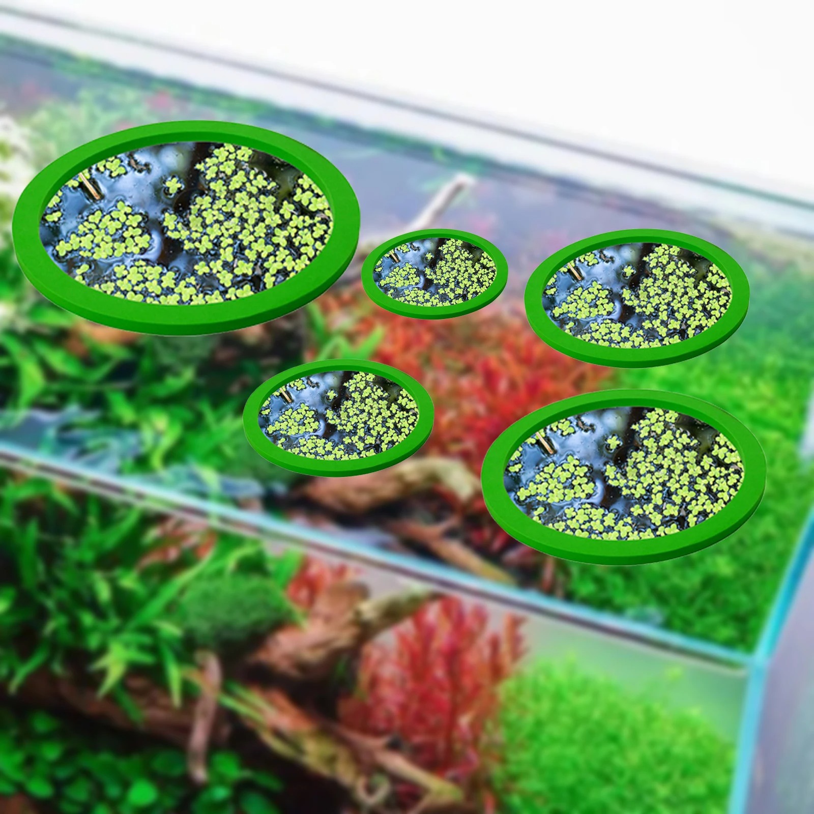 5Pcs EVA Fish Feeding Ring Aqu - огляд і ціна Aquarium Plants