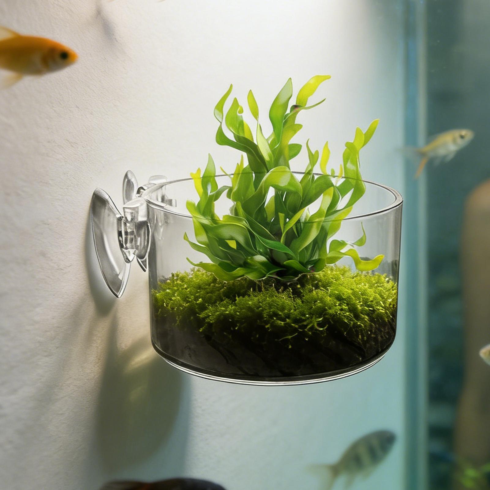 Acrylic Aquarium Plant Holder  - огляд і ціна Aquarium Planted Background