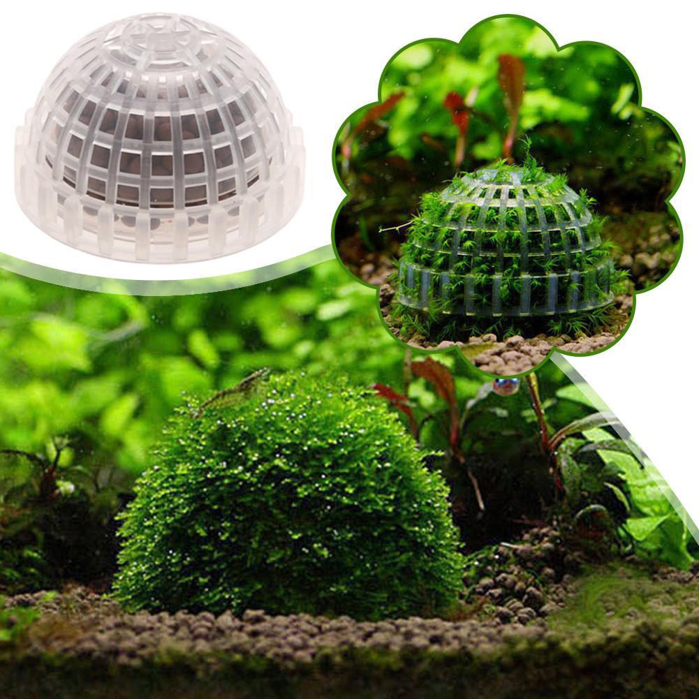 1-5PCS Aquarium Decoration Pla - огляд і ціна Aquarium Planted Background