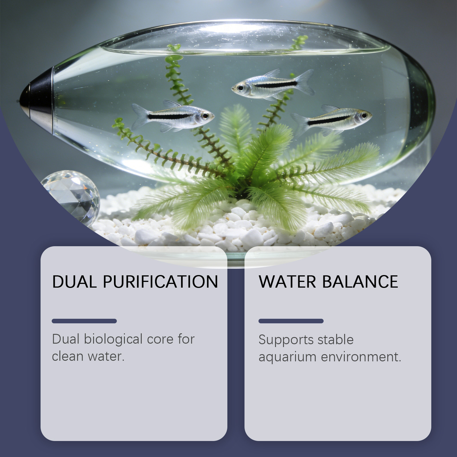 Algae Remover Tablets for Aqua - огляд і ціна Planted Aquarium Algae Remover