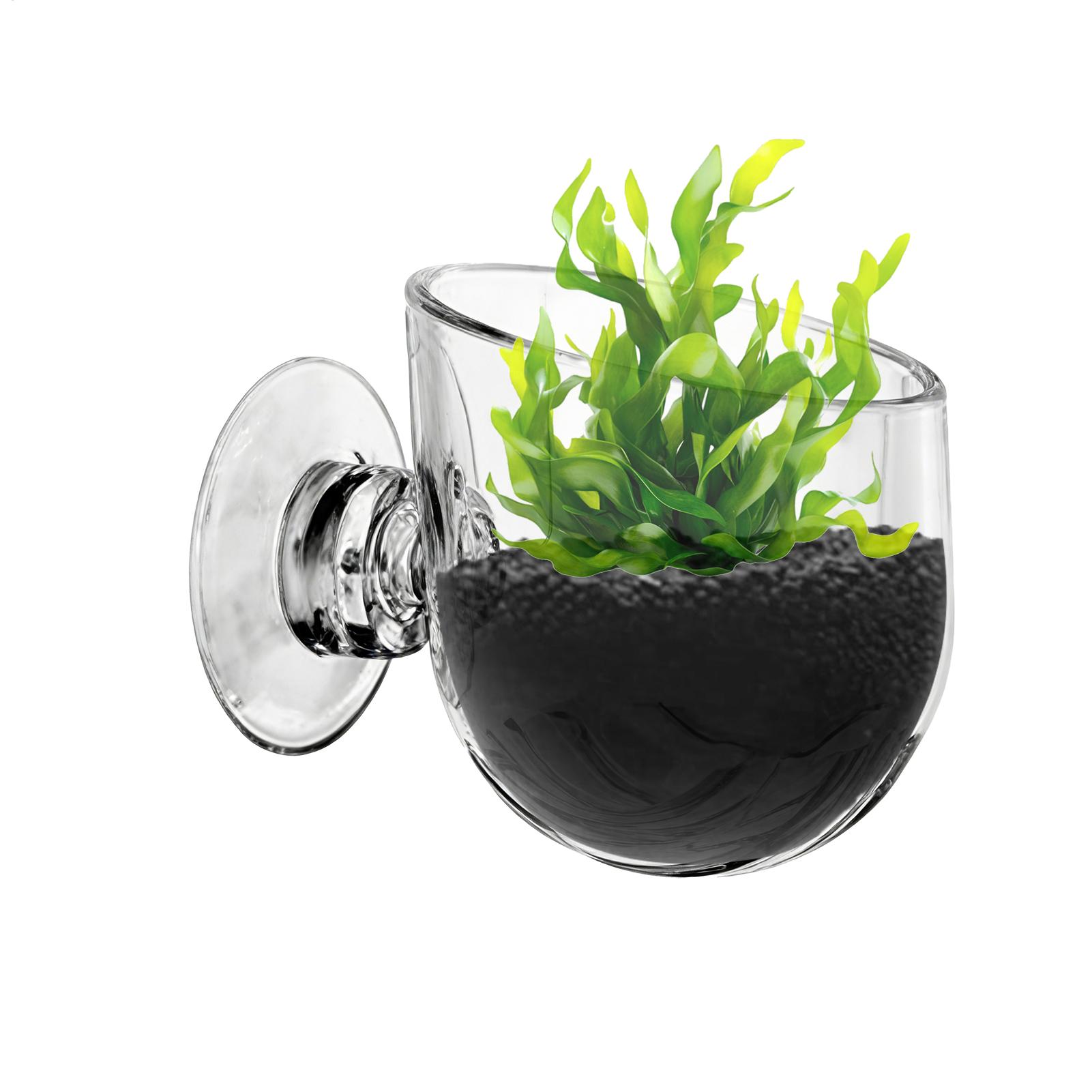 Aquarium Plant Holder Acrylic  - огляд і ціна Aquarium Planted Background